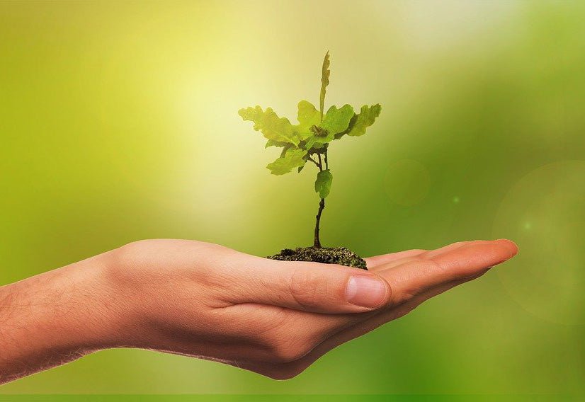 Floods in Indian Hills: How Our Choices Can Change the Future